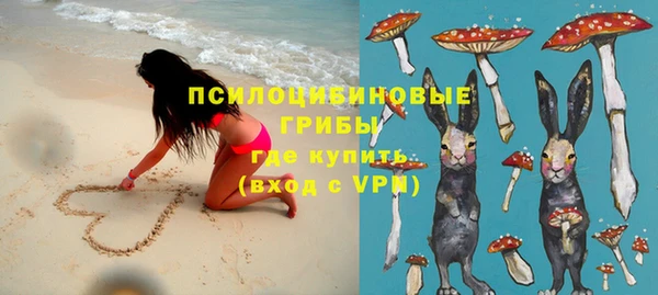 гидра Белоозёрский