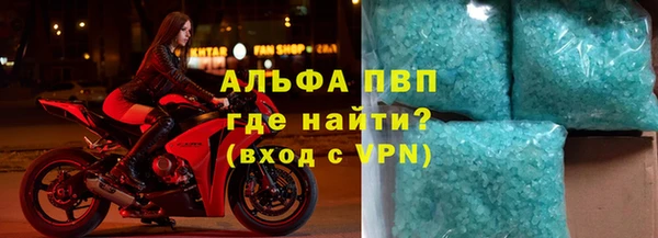ПСИЛОЦИБИНОВЫЕ ГРИБЫ Белокуриха