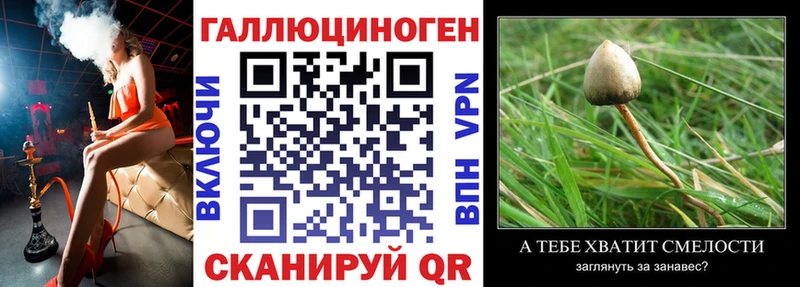 Псилоцибиновые грибы GOLDEN TEACHER  Буинск 